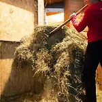 Alloggio per agriturismo Riemenerhof Fügen