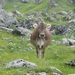 Alloggio per agriturismo Riemenerhof *