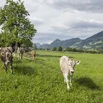 Alloggio per agriturismo Riemenerhof Fügen