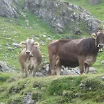 Alloggio per agriturismo Riemenerhof Fügen