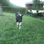 Alloggio per agriturismo Riemenerhof Fügen