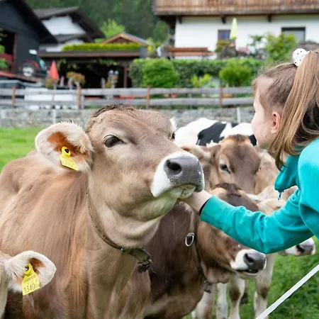 Riemenerhof Bauernhof Fügen