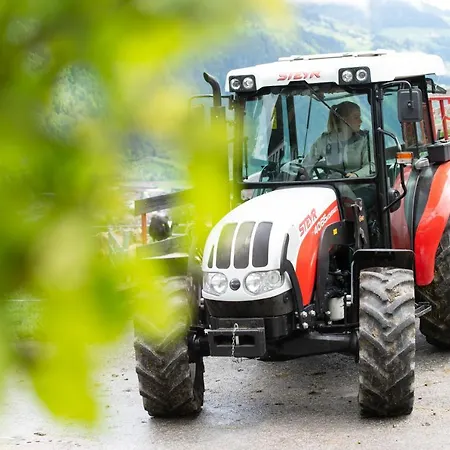 Farm stay Riemenerhof Fuegen