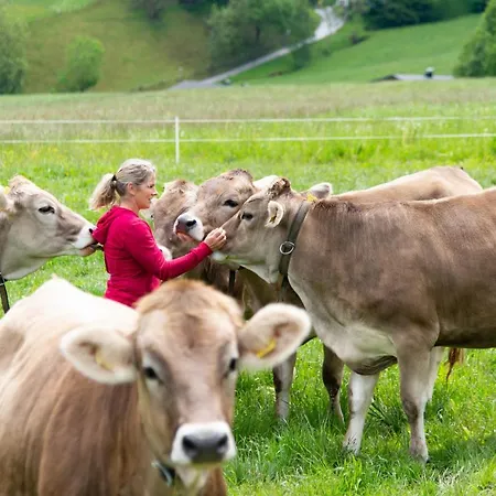 Riemenerhof * Fügen