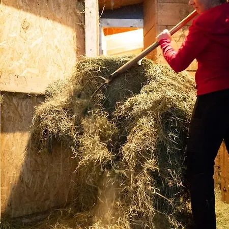 Κατάλυμα σε φάρμα Riemenerhof Fügen