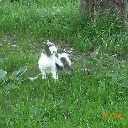 Agroturismo Riemenerhof Fügen
