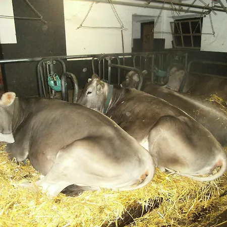 Farm stay Riemenerhof