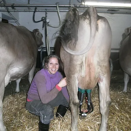 Bauernhof Riemenerhof
