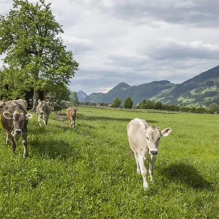 Farm stay Riemenerhof Fuegen