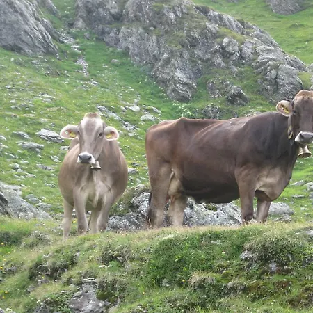 Farm stay Riemenerhof Fuegen