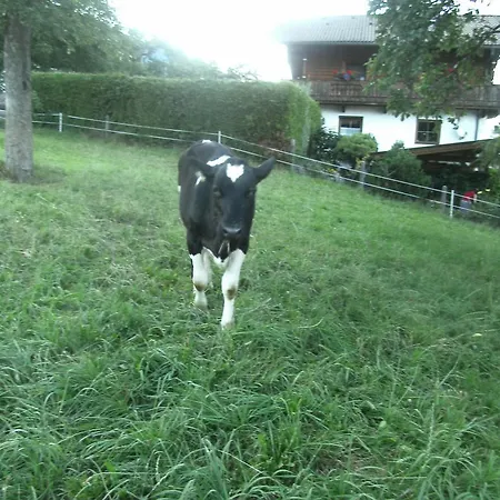 Farm stay Riemenerhof Fuegen
