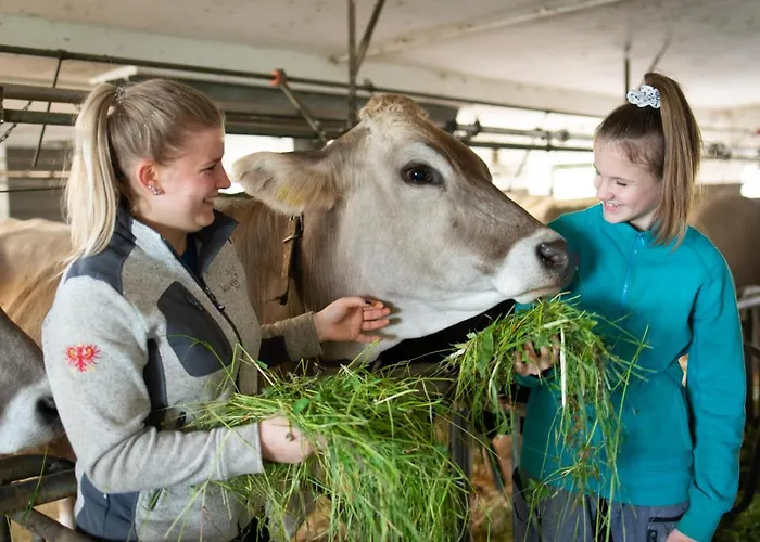 Bauernhof Riemenerhof