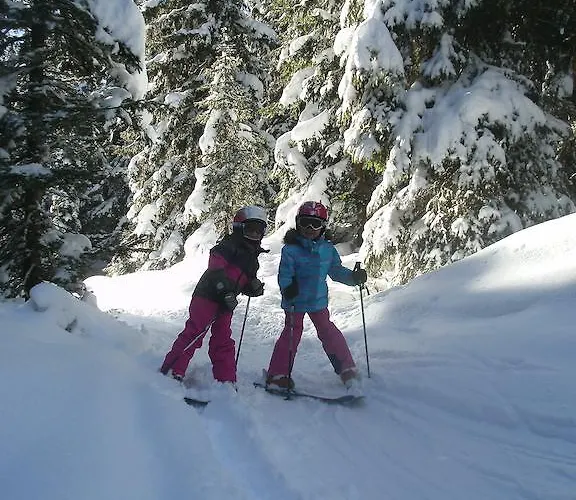 Bauernhof Riemenerhof