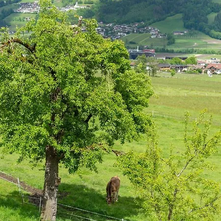 Riemenerhof Vakantieboerderij *