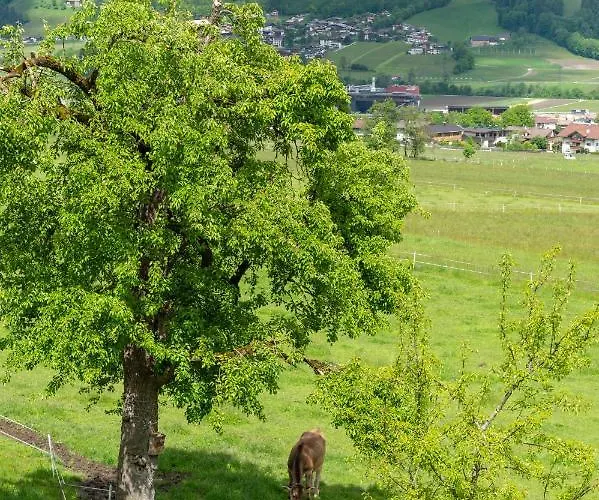 Riemenerhof Alojamento de Turismo Rural *