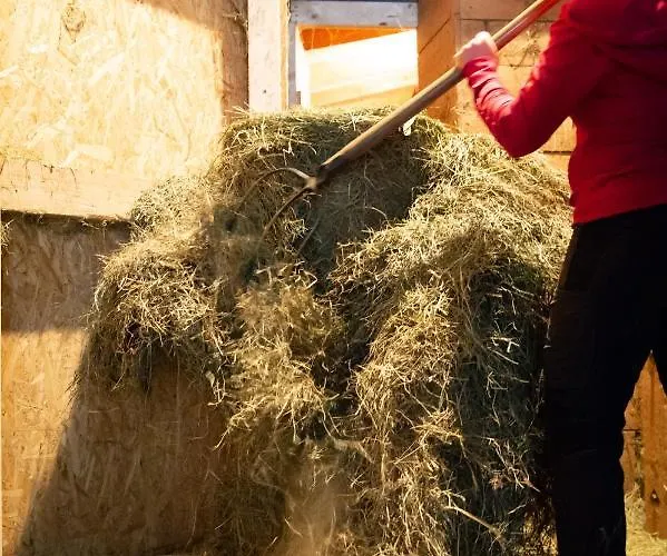 Alojamento de Turismo Rural Riemenerhof Fügen