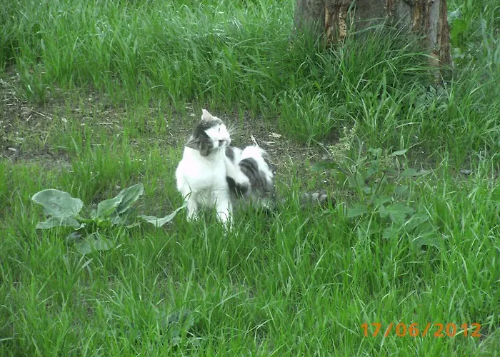 Alojamento de Turismo Rural Riemenerhof Fügen