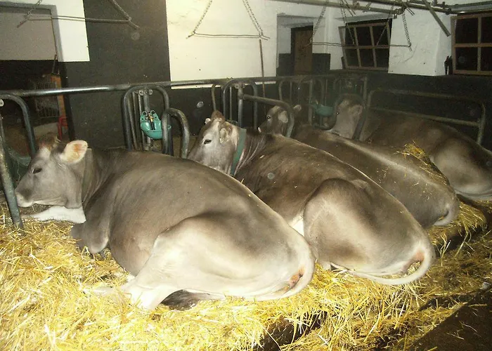 Alojamento de Turismo Rural Riemenerhof