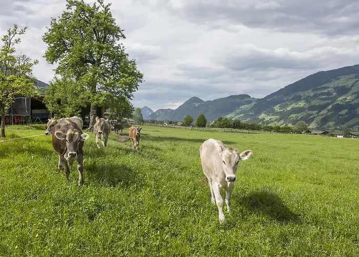 Alojamento de Turismo Rural Riemenerhof Fügen