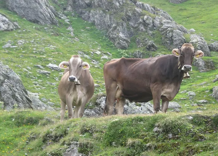 Alojamento de Turismo Rural Riemenerhof Fügen