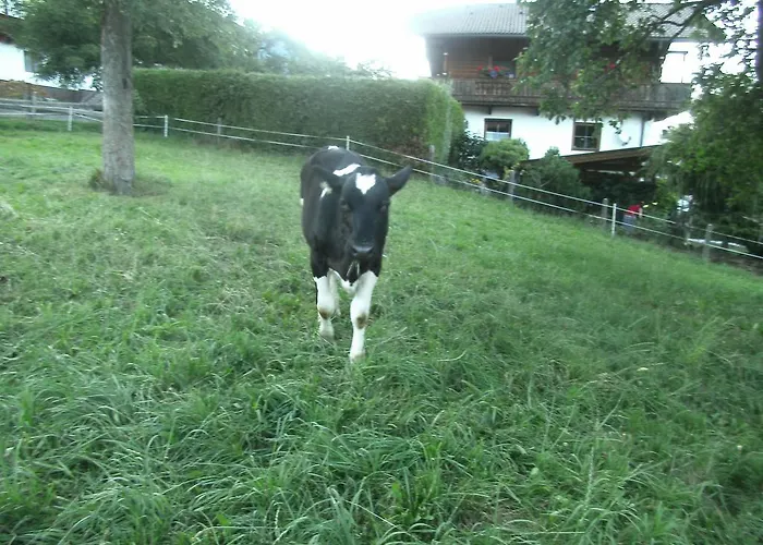 Alojamento de Turismo Rural Riemenerhof Fügen