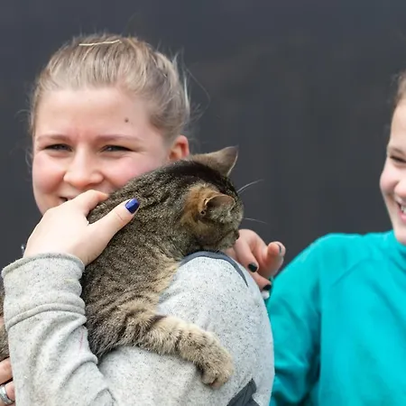 Riemenerhof 팜스테이