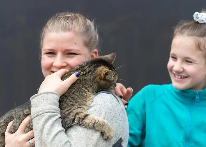 Riemenerhof בית חווה