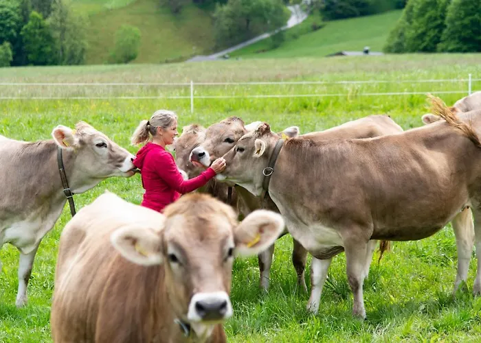 Riemenerhof * פוגן