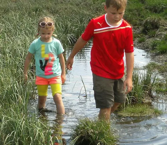 Riemenerhof פוגן