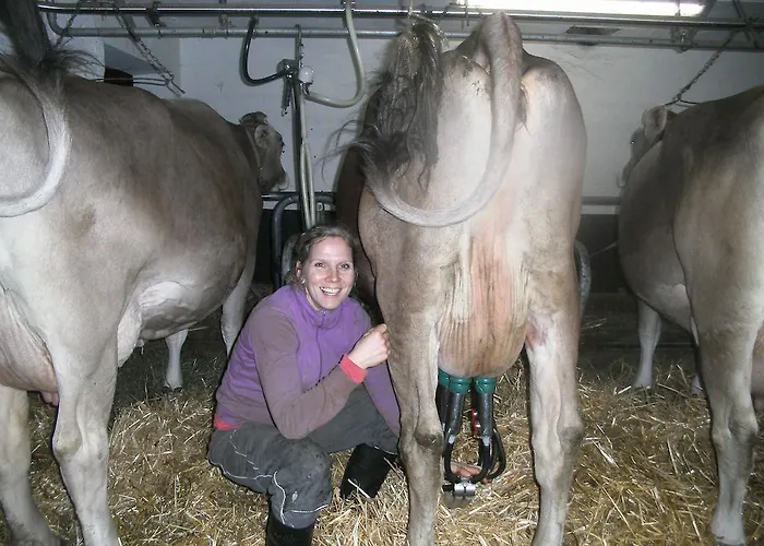 בית חווה Riemenerhof