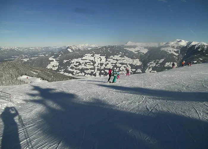 Riemenerhof פוגן